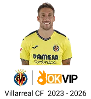 Tổng quan nền tảng vipsodo